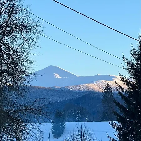 Mezohat * Koz'meshchyk